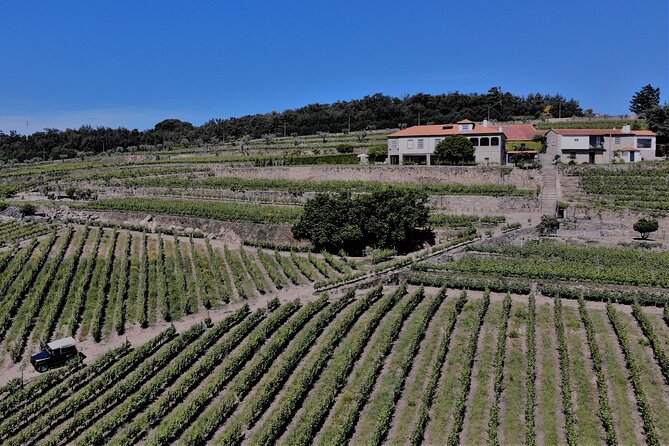 Winery Tour and Wine Tasting Quinta da Portela de Baixo in Lamego - Regional food makes the tasting more complete