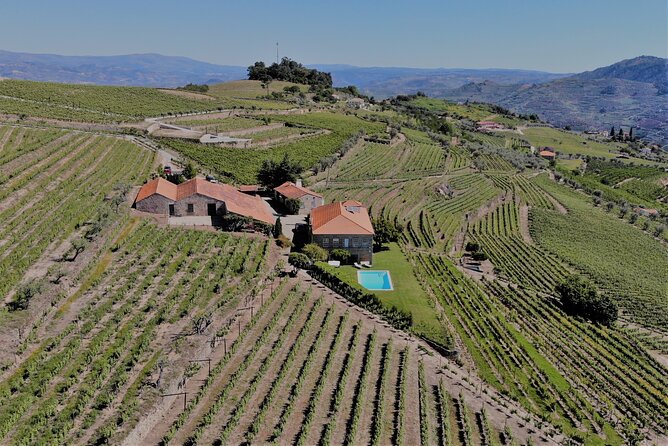 Winery Tour and Wine Tasting Quinta da Portela de Baixo in Lamego - Views over the Douro Valley