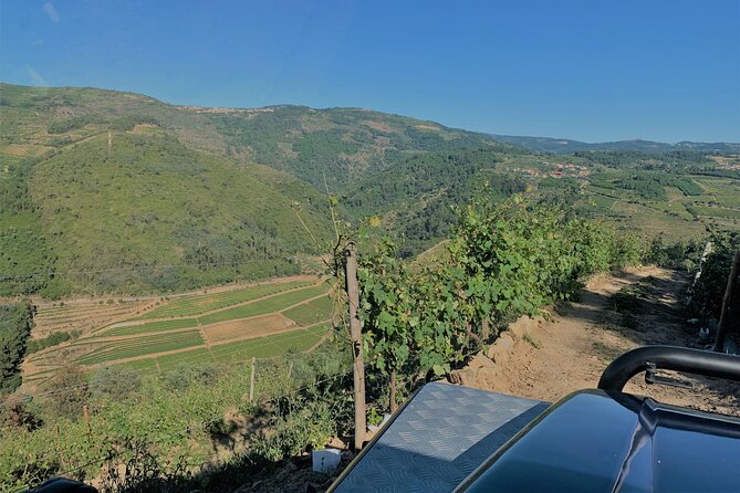 Winery Tour and Wine Tasting Quinta da Portela de Baixo in Lamego - Six pours, from sparkling wine to Port